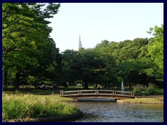 Yoyogi Park 15